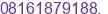 Mobile number of Mr. Ramli at JAKARTA-INDONESIA