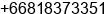 Mobile number of Mr. Francis Koh at Shenyang City Liaoning Province
