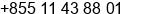 Mobile number of Ms. sreyline at Phnom Penh city
