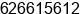 Phone number of Mr. roberto at palencia