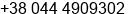 Phone number of Ms. Inna Levchuk at Kiev