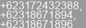 Phone number of Mr. Rudy at Waru-Sidoarjo