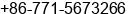 Phone number of Ms. Tina Wong at nanning
